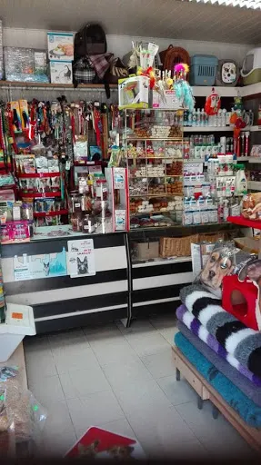 Rottweiler SKLEP ZOOLOGICZNY KARMY DLA ZWIERZĄT